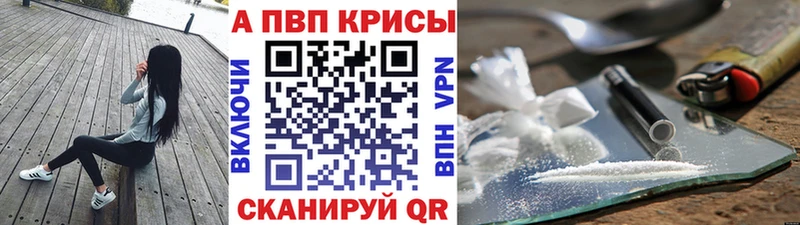 omg ТОР  Дегтярск  Альфа ПВП СК КРИС 