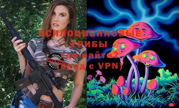 а пвп мука Богданович